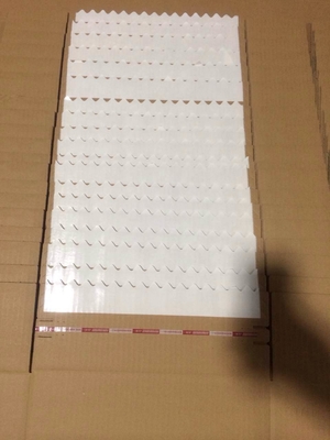 Grey Cardboard Box Folding Machine polare 6 Antivari 90m/Min For Packaging