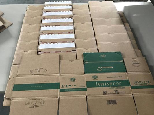 contenitore di cartone 300g/M2 che incolla l'arancia guidata elettrica della macchina per la scatola ondulata