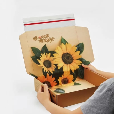 Le scatole di spedizione della chiusura lampo lavorano/formato carta minimo 250mm×250mm